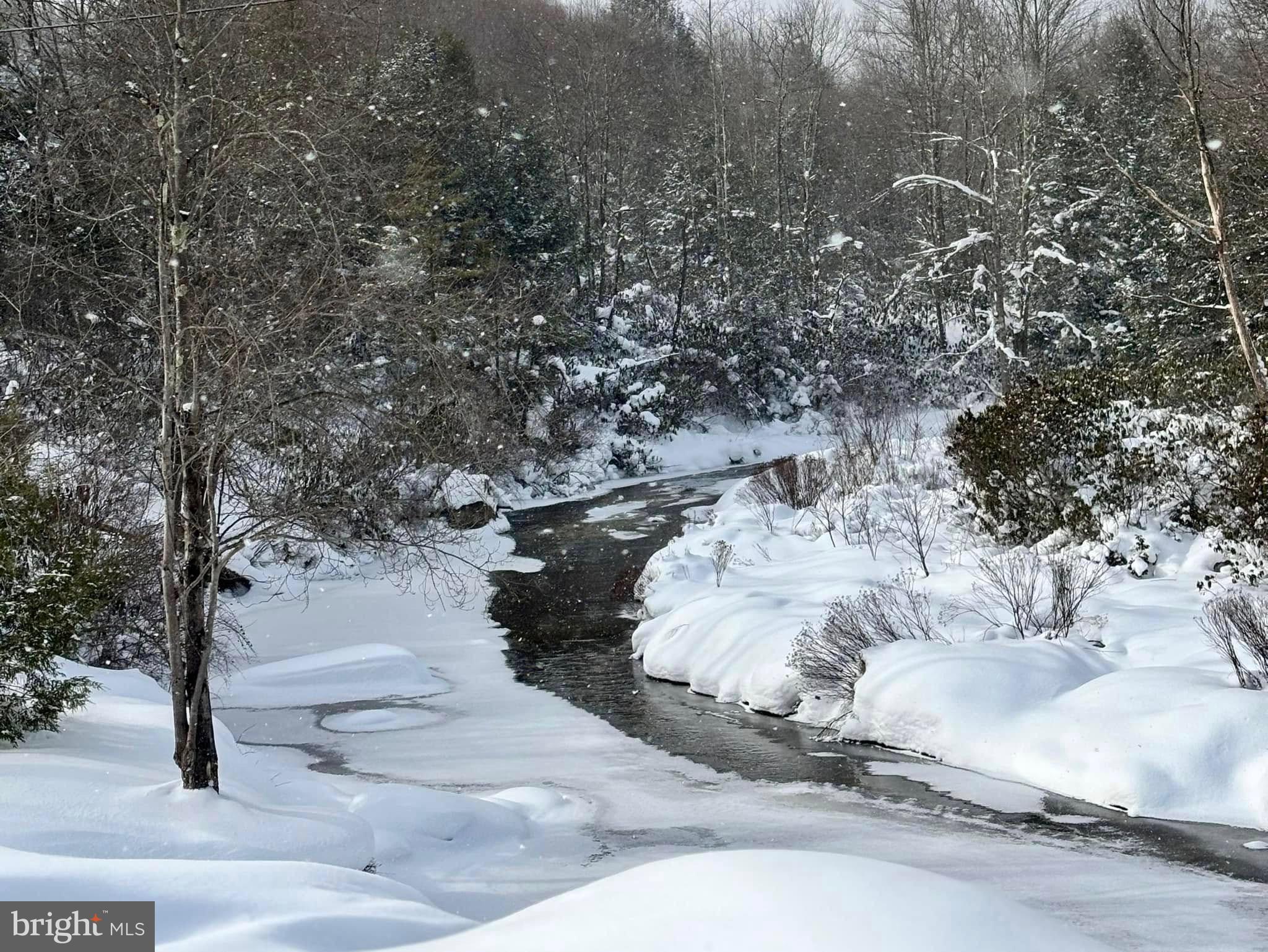 Lot 36 Fox Tail Road Oakland, MD 21550 - Photo 1 of 16 a view of a yard with wooden fence