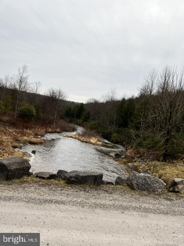 Lot 36 Fox Tail Road Oakland, MD 21550 - Photo 13 of 16 a view of a wooden floor and a yard