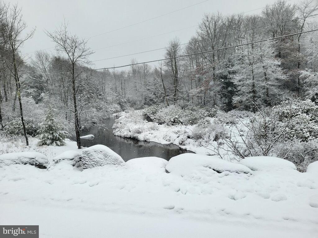 Lot 36 Fox Tail Road Oakland, MD 21550 - Photo 3 of 16 a view of a dry yard covered in snow