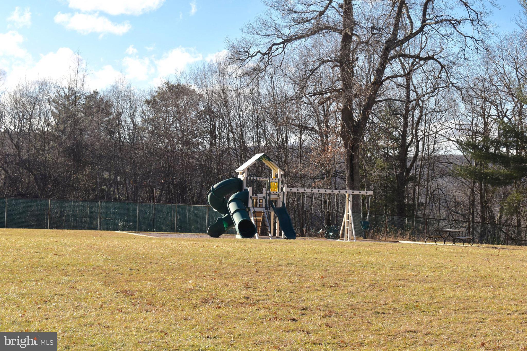 Lot 36 Fox Tail Road Oakland, MD 21550 - Photo 6 of 16 a view of swimming pool with a yard