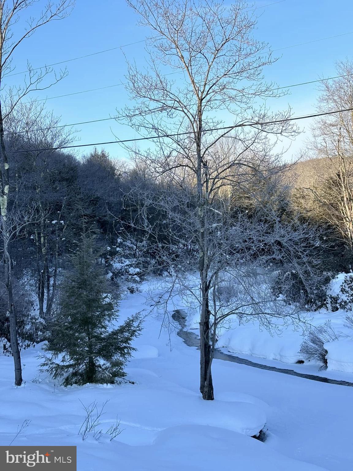 Lot 36 Fox Tail Road Oakland, MD 21550 - Photo 10 of 16 a backyard of a house with large trees