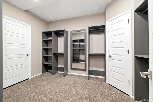 a view of an empty room with a closet