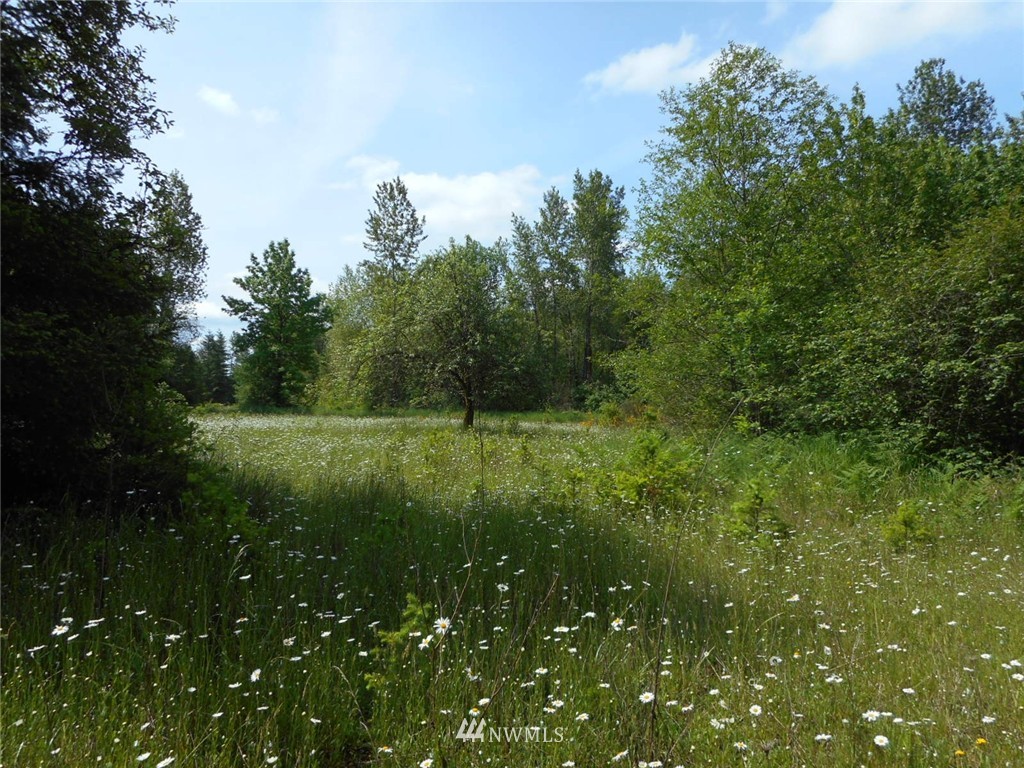 0 Berg Road Onalaska, WA 98570 - Photo 1 of 8 Gallery Image 1
