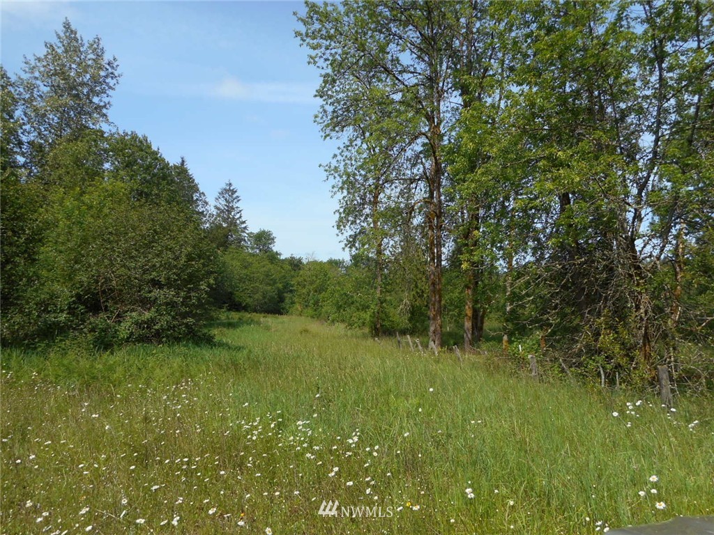 0 Berg Road Onalaska, WA 98570 - Photo 2 of 8 Gallery Image 2
