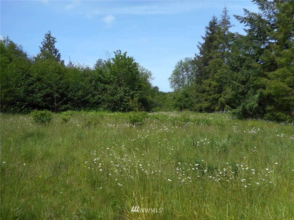 0 Berg Road Onalaska, WA 98570 - Photo 4 of 8 Gallery Image 4