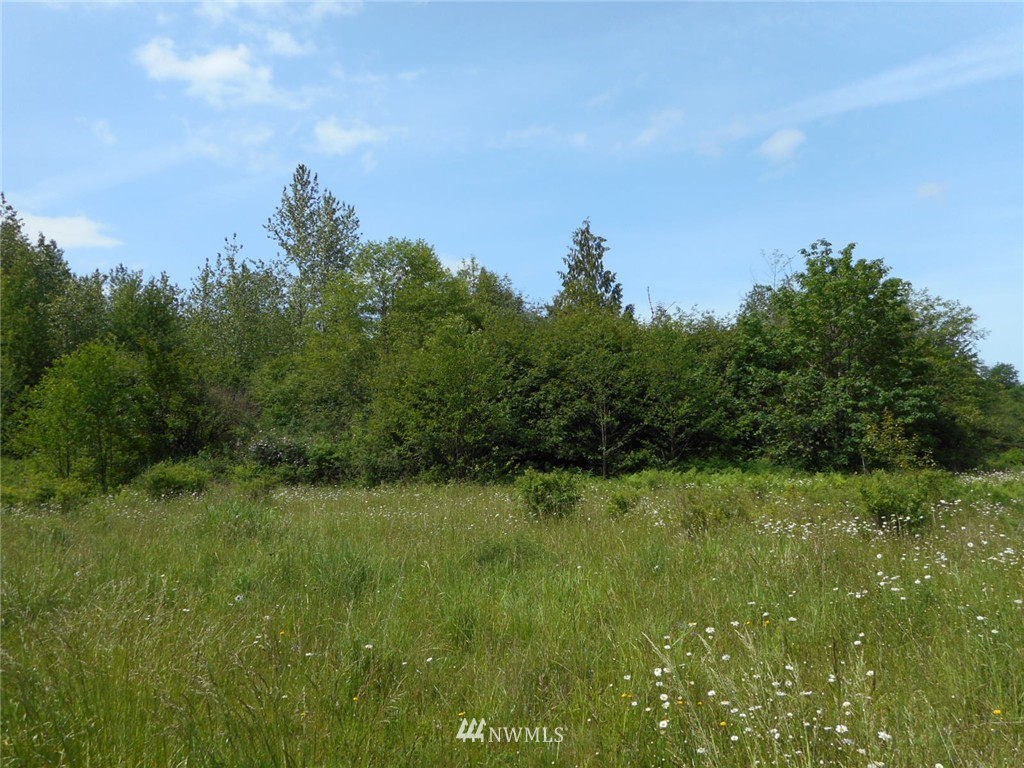 0 Berg Road Onalaska, WA 98570 - Photo 5 of 8 Gallery Image 5