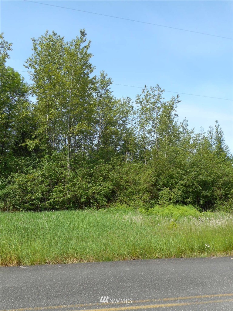0 Berg Road Onalaska, WA 98570 - Photo 6 of 8 Gallery Image 6