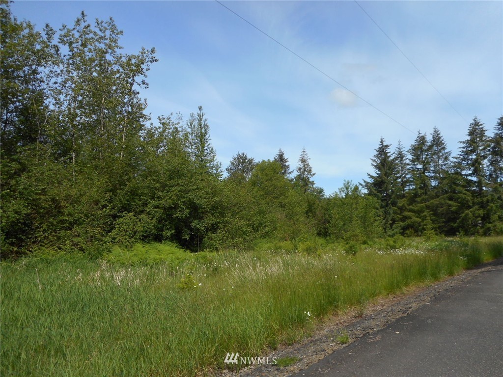0 Berg Road Onalaska, WA 98570 - Photo 7 of 8 Gallery Image 7