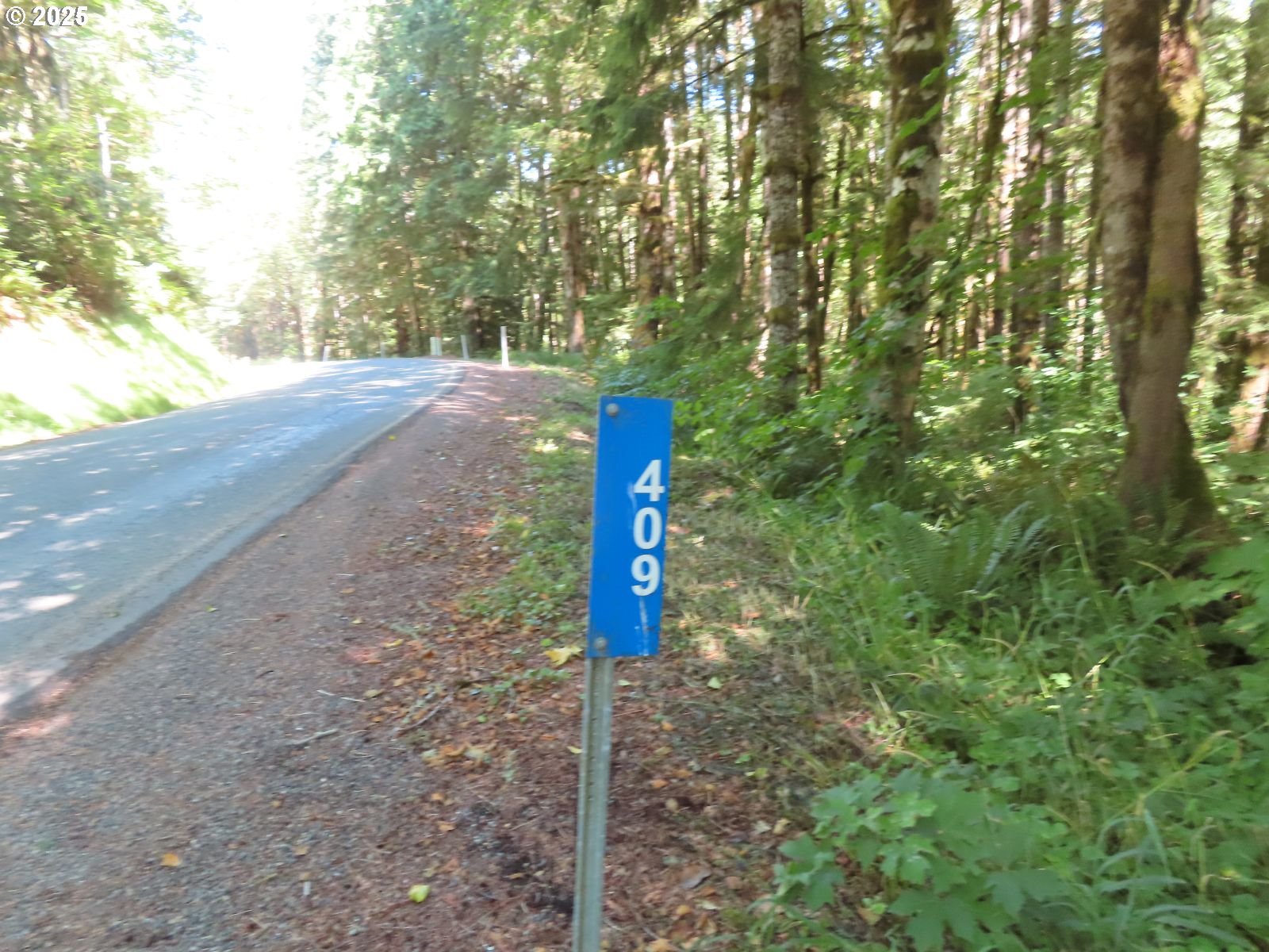 Salmon Creek Road Mossyrock, WA 98564 - Photo 19 of 20 a street sign on a sidewalk