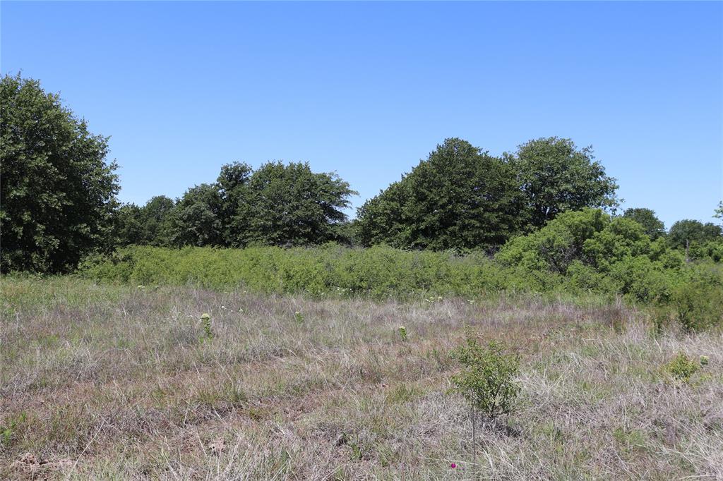 120-acres Deer Creek Road Henrietta, TX 76365 - Photo 12 of 27