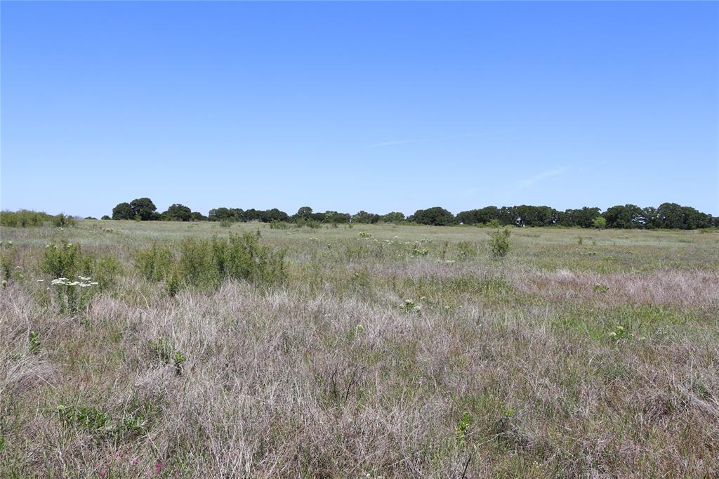 120-acres Deer Creek Road Henrietta, TX 76365 - Photo 14 of 27