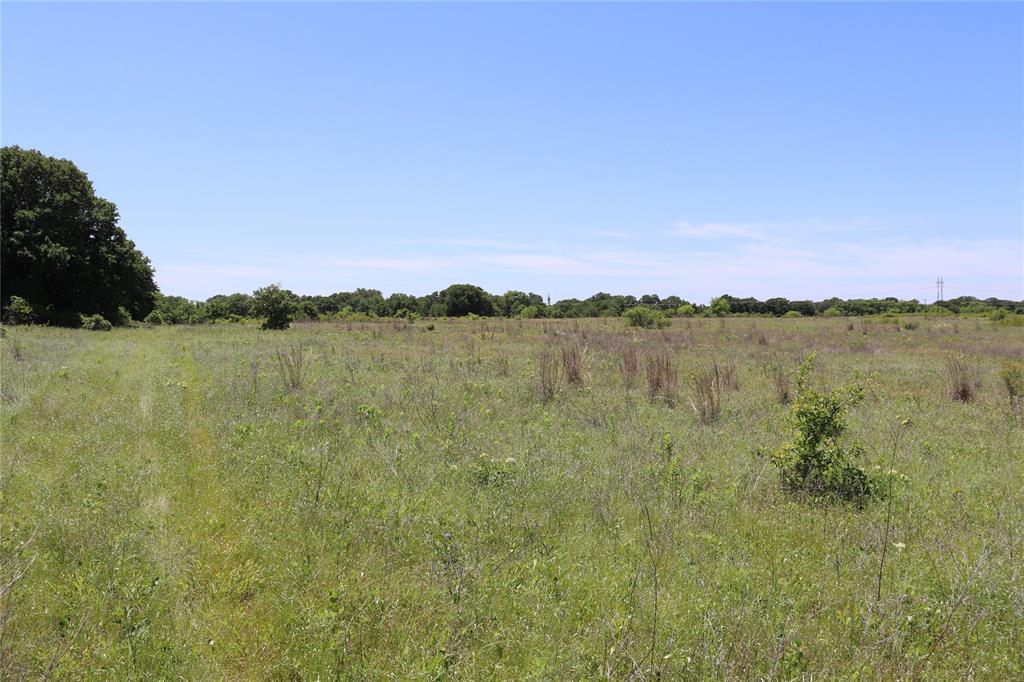 120-acres Deer Creek Road Henrietta, TX 76365 - Photo 16 of 27