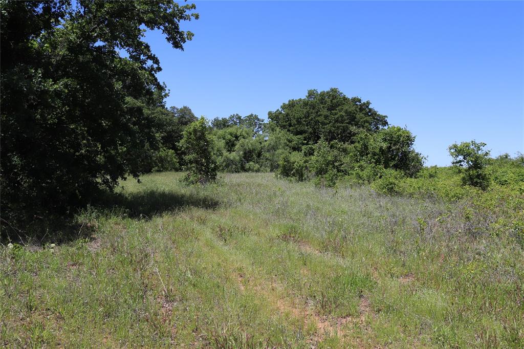 120-acres Deer Creek Road Henrietta, TX 76365 - Photo 17 of 27