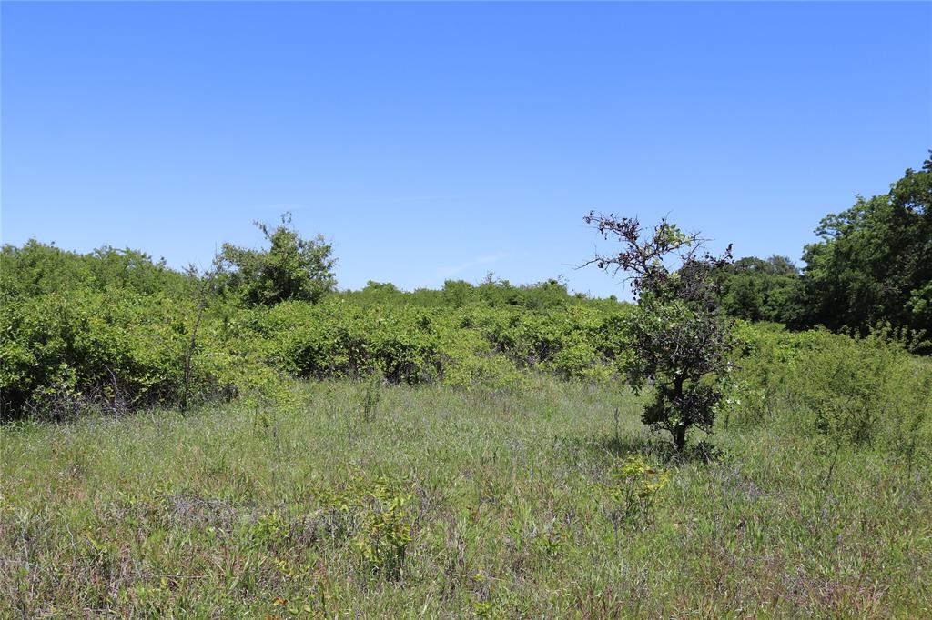 120-acres Deer Creek Road Henrietta, TX 76365 - Photo 18 of 27