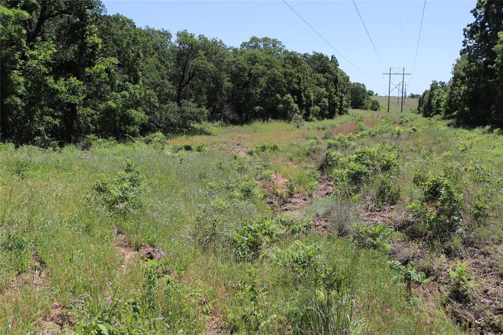 120-acres Deer Creek Road Henrietta, TX 76365 - Photo 20 of 27