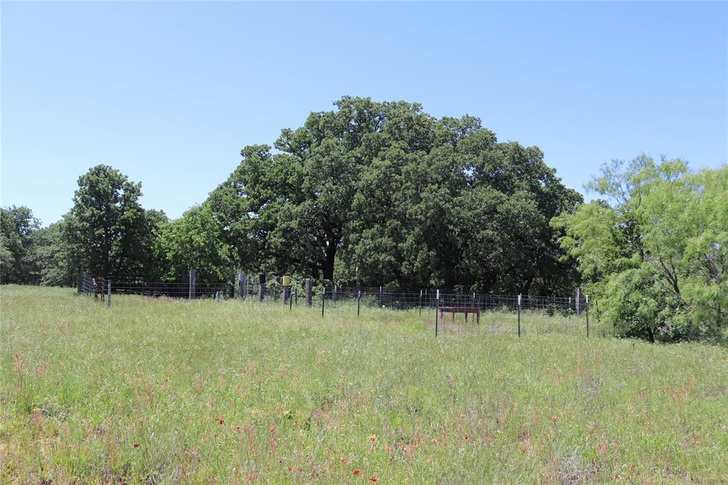 120-acres Deer Creek Road Henrietta, TX 76365 - Photo 6 of 27