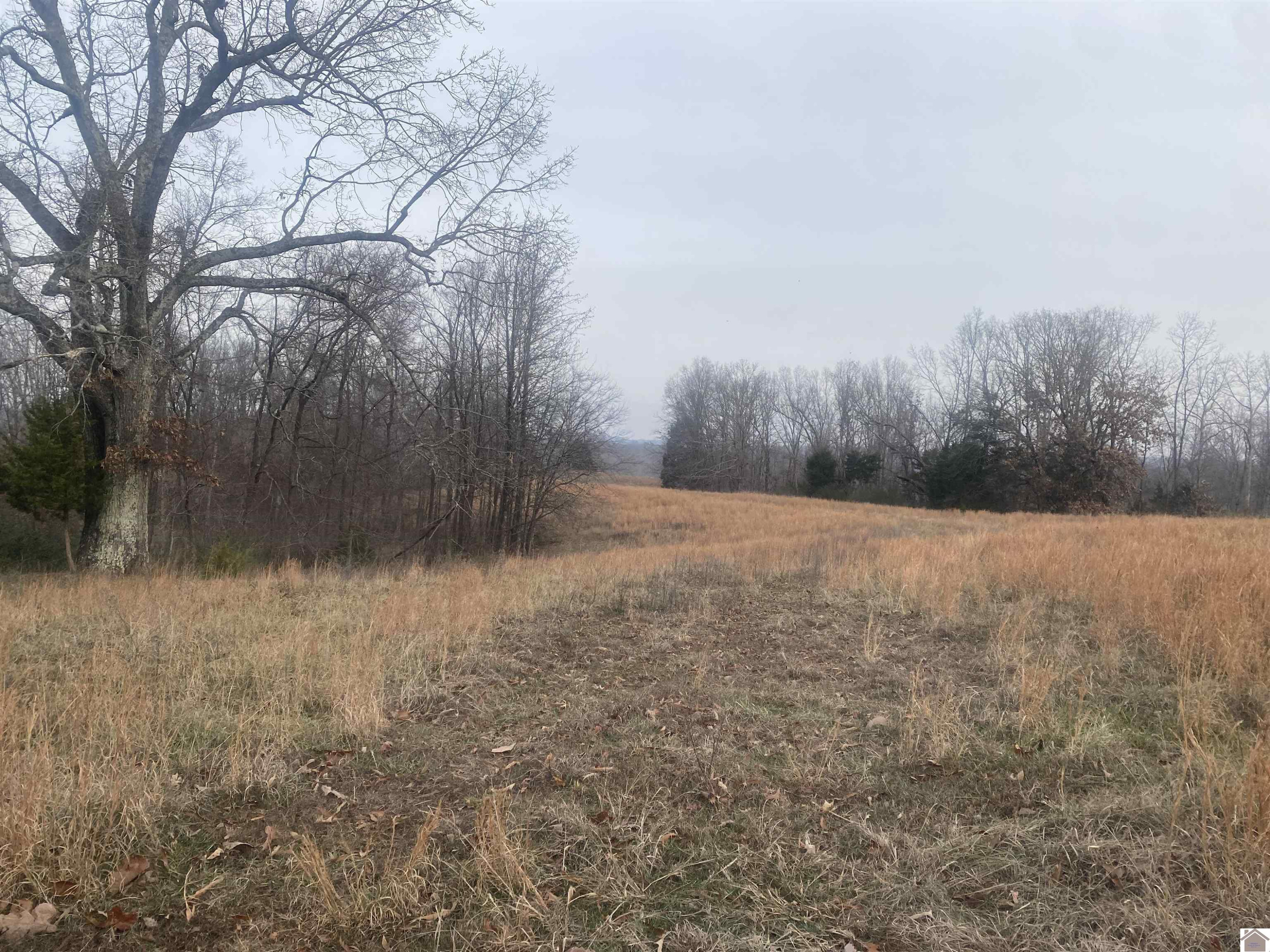 700 Crossroads School Road Cadiz, KY 42211 - Photo 4 of 10 Photo 5