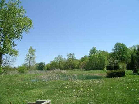 23335 Merriman Road New Boston, MI 48164 - Photo 4 of 9 698336-3.JPG