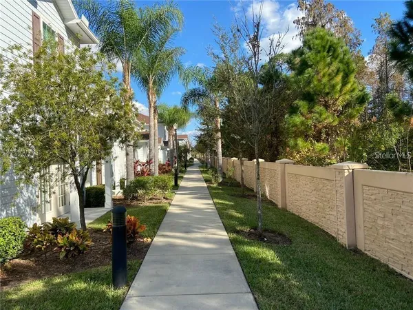 a view of park with large trees