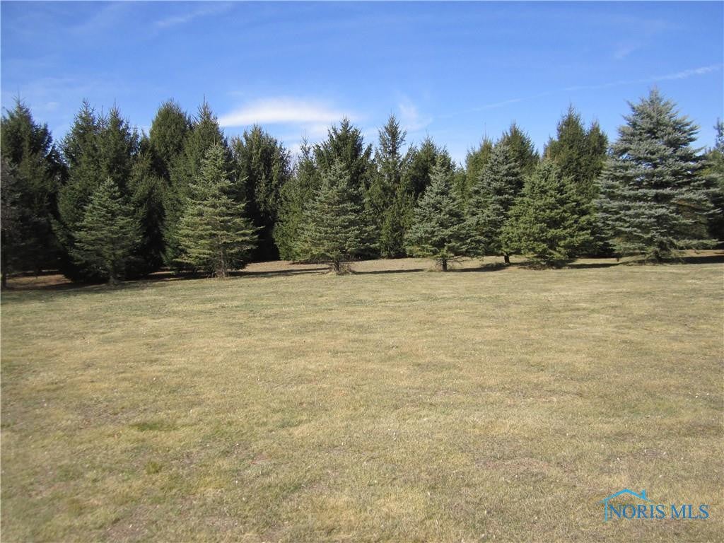 2333 Wilkins Road Swanton, OH 43558 - Photo 28 of 29 Gallery Image 28