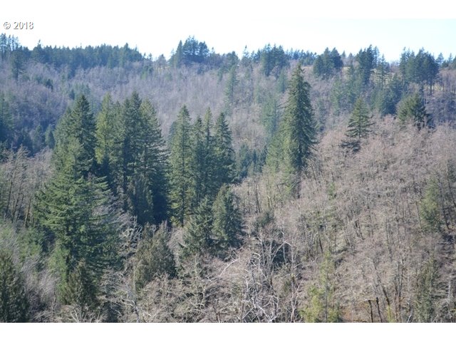 East Haines Road Corbett, OR 97019 - Photo 14 of 19 Gallery Image 14