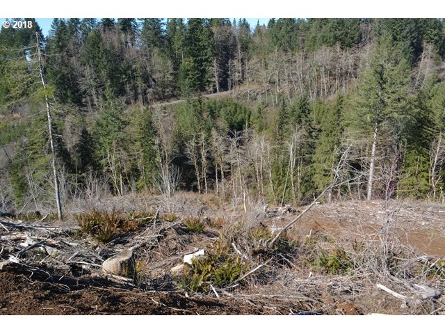 East Haines Road Corbett, OR 97019 - Photo 17 of 19 Gallery Image 17