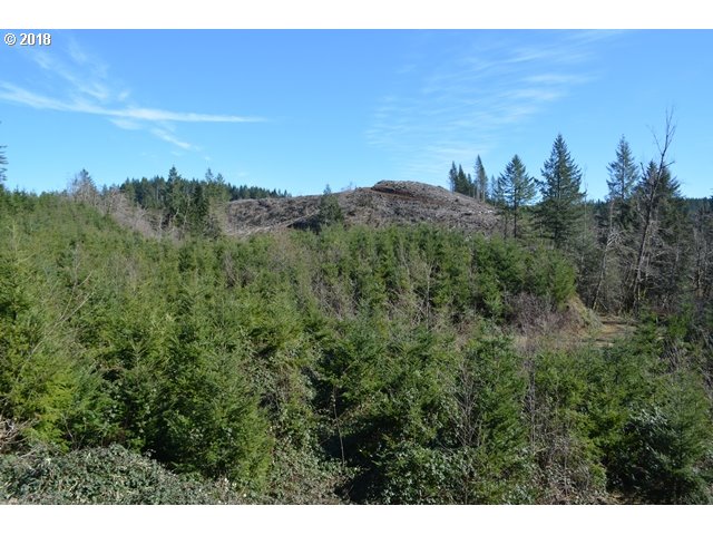 East Haines Road Corbett, OR 97019 - Photo 7 of 19 Gallery Image 7