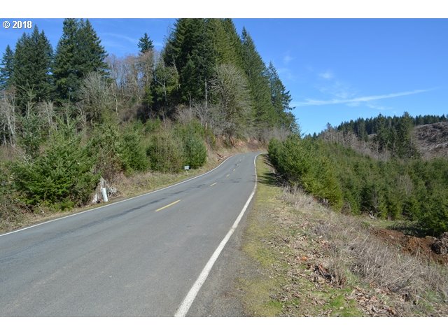 East Haines Road Corbett, OR 97019 - Photo 8 of 19 Gallery Image 8