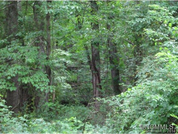 999 Pennsylvania Road, Unit 2 Arden, NC 28704 - Photo 3 of 9 Gallery Image 3