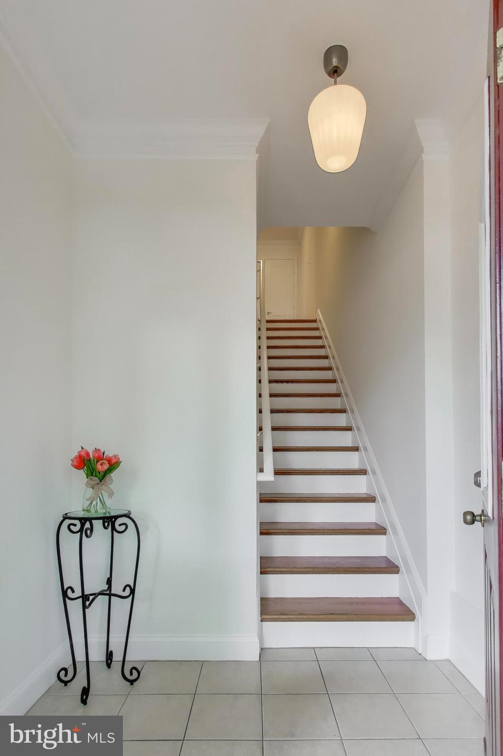 429 Shepherd Street Northwest, Unit 1 Washington, DC 20011 - Photo 3 of 41 Welcoming Entry/Foyer w/Tile Flooring