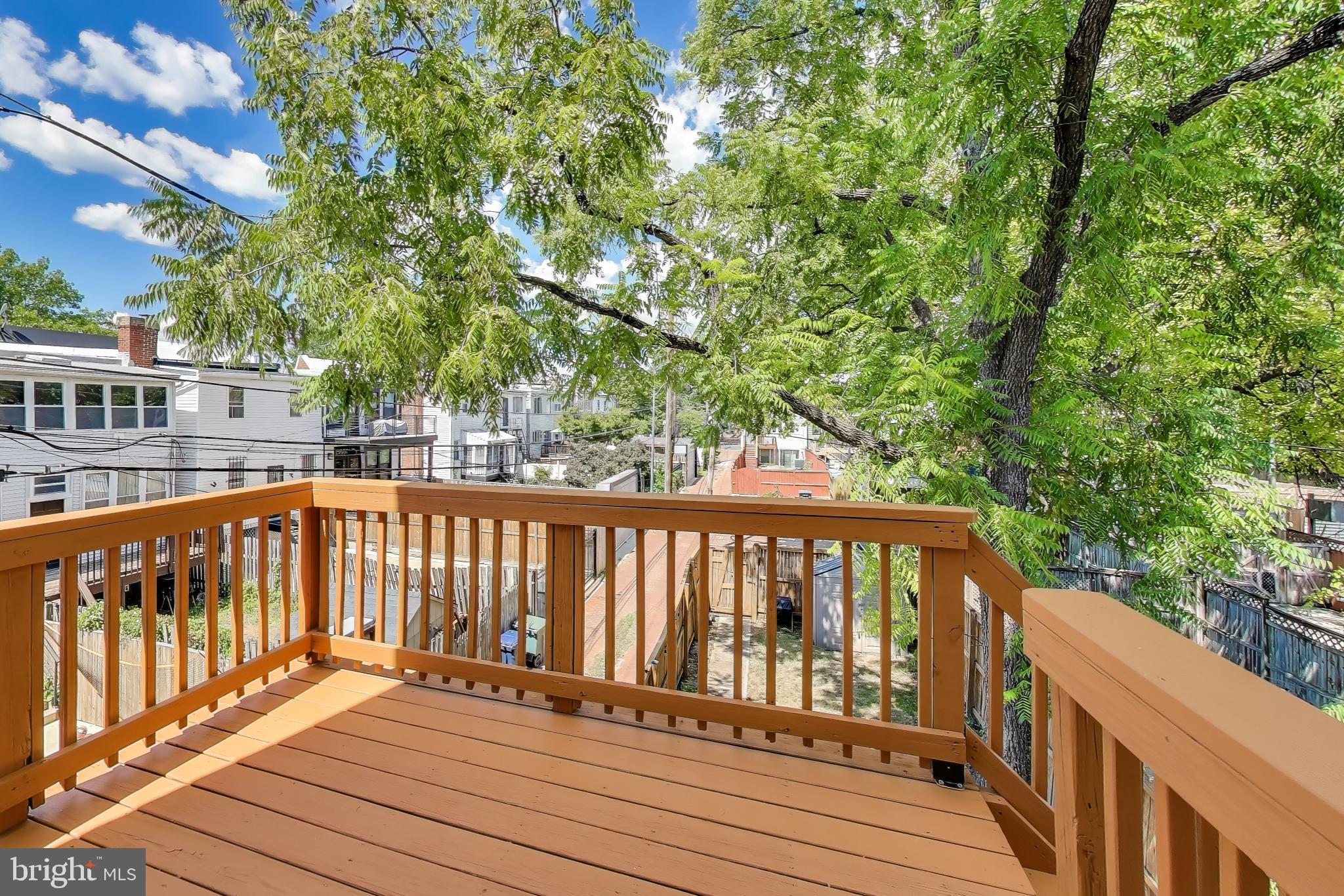 429 Shepherd Street Northwest, Unit 1 Washington, DC 20011 - Photo 31 of 41 Rear Deck Overlooking Mature Tree