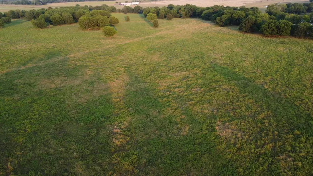 a view of yard with trees