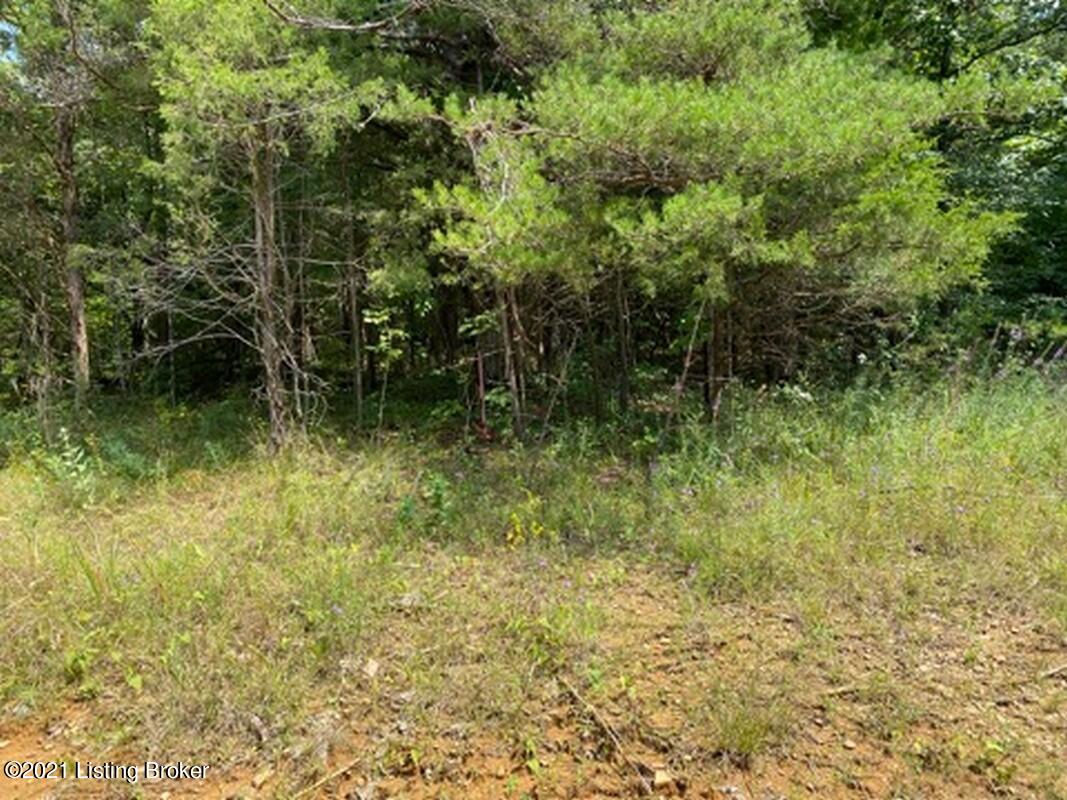 Lot 7-0 Wax Road Clarkson, KY 42726 - Photo 6 of 7 Logsdon Acres North Farm20