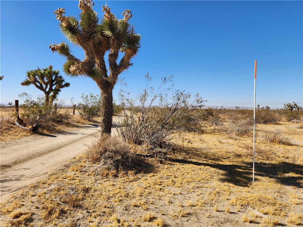 40-ac 40-ac Pomona Road Llano, CA 93544 - Photo 6 of 10