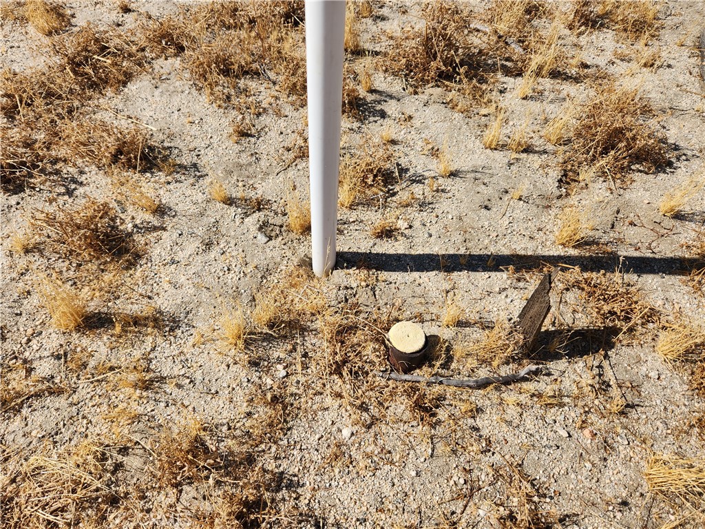 40-ac 40-ac Pomona Road Llano, CA 93544 - Photo 8 of 10