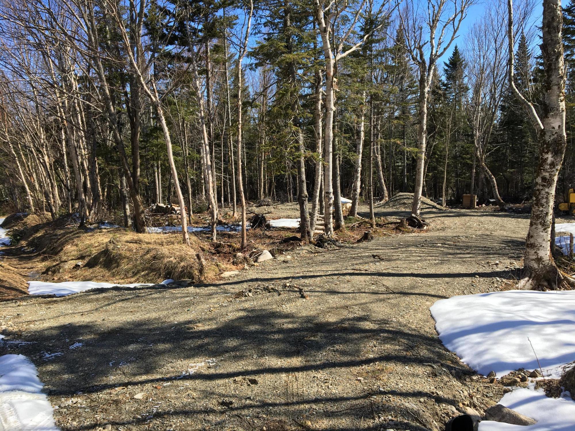 Lot 8 East Lot Road West Forks, ME 04985 - Photo 7 of 12 E72973C8-6CAF-4283-A18A-44136A945479
