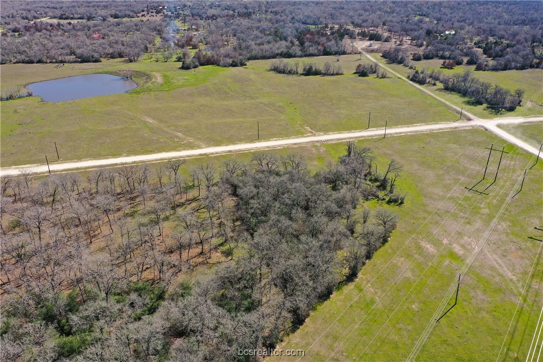 3702 Hidden Trail North Zulch, TX 77872 - Photo 13 of 19 a view of an outdoor space