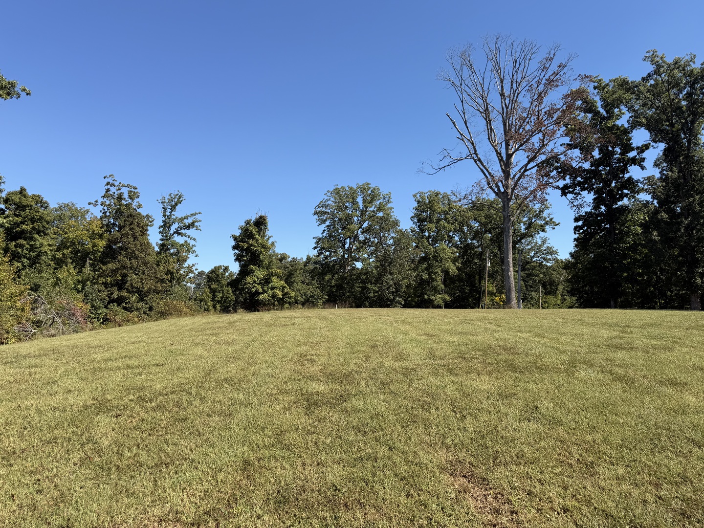 4219 Dahlia Road Pinckneyville, IL 62274 - Photo 5 of 6 Gallery Image 5