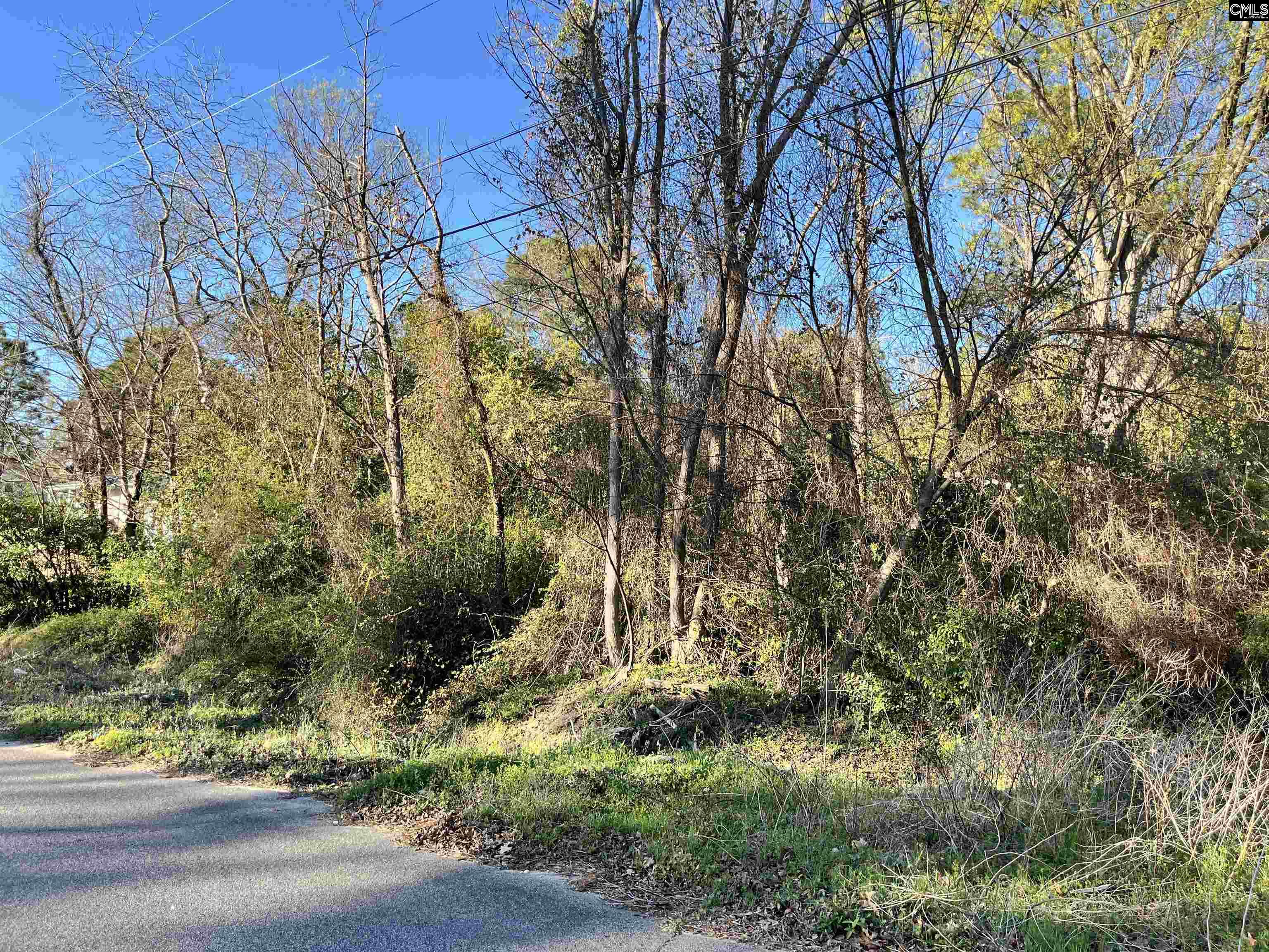 0 Greenleaf Road Hartsville, SC 29550 - Photo 1 of 2
