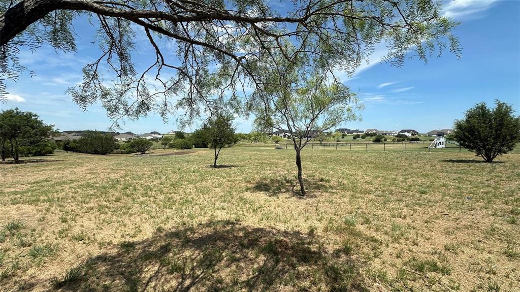 2048 Trace Ridge Drive Weatherford, TX 76087 - Photo 3 of 15 a view of a yard with a tree