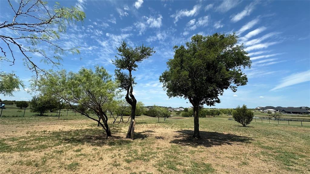 2048 Trace Ridge Drive Weatherford, TX 76087 - Photo 4 of 15 a street view with tall trees