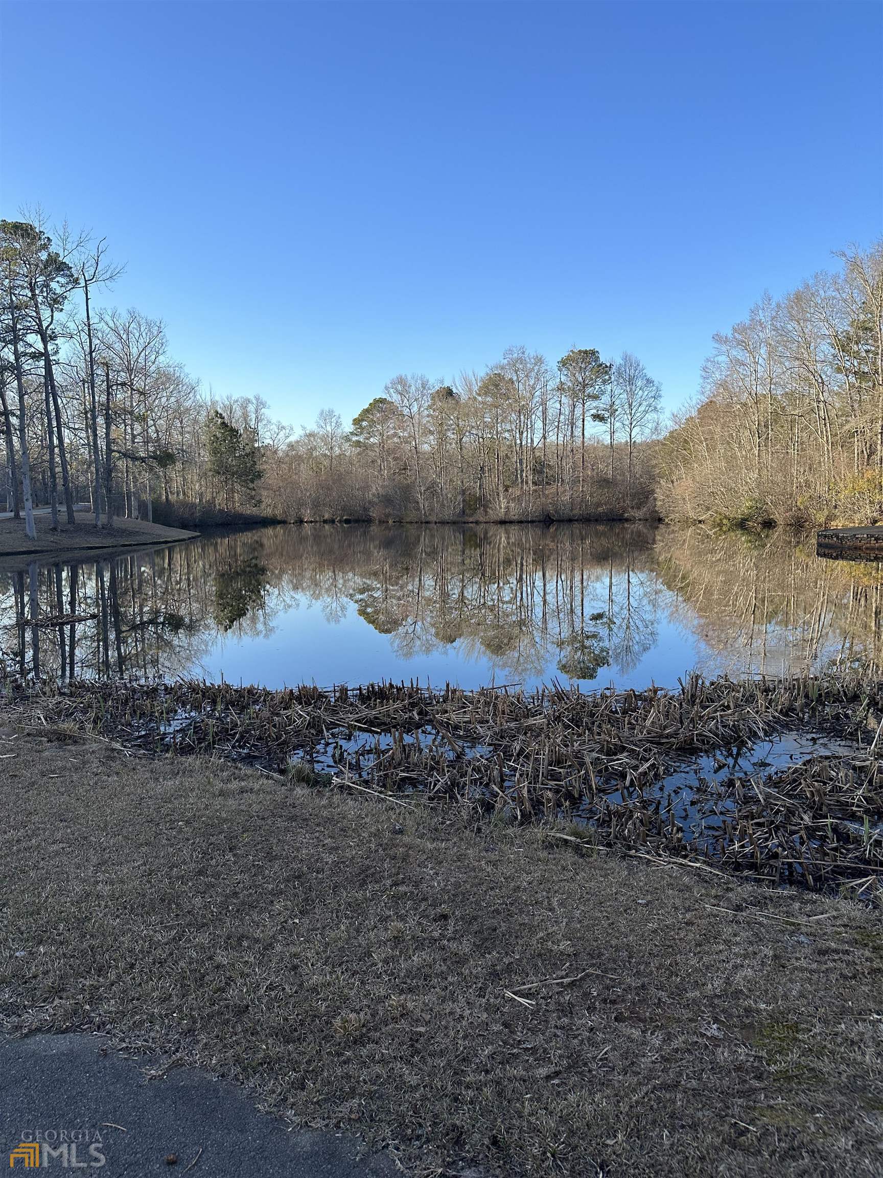 Lot 19 Mountain Ridge Drive Waverly Hall, GA 31831 - Photo 16 of 26 a view of a lake with a big yard