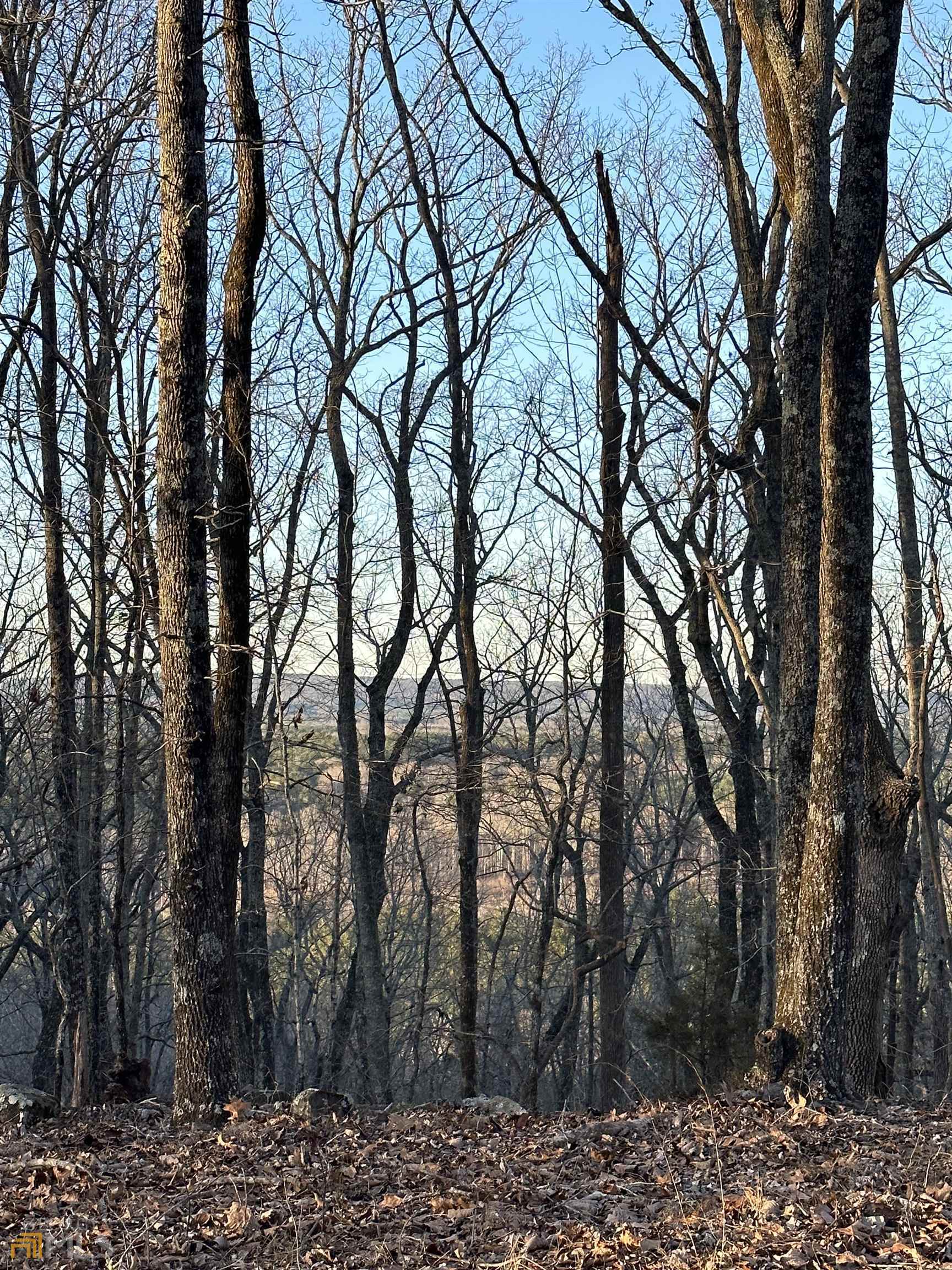Lot 19 Mountain Ridge Drive Waverly Hall, GA 31831 - Photo 21 of 26 a view of a yard with large trees