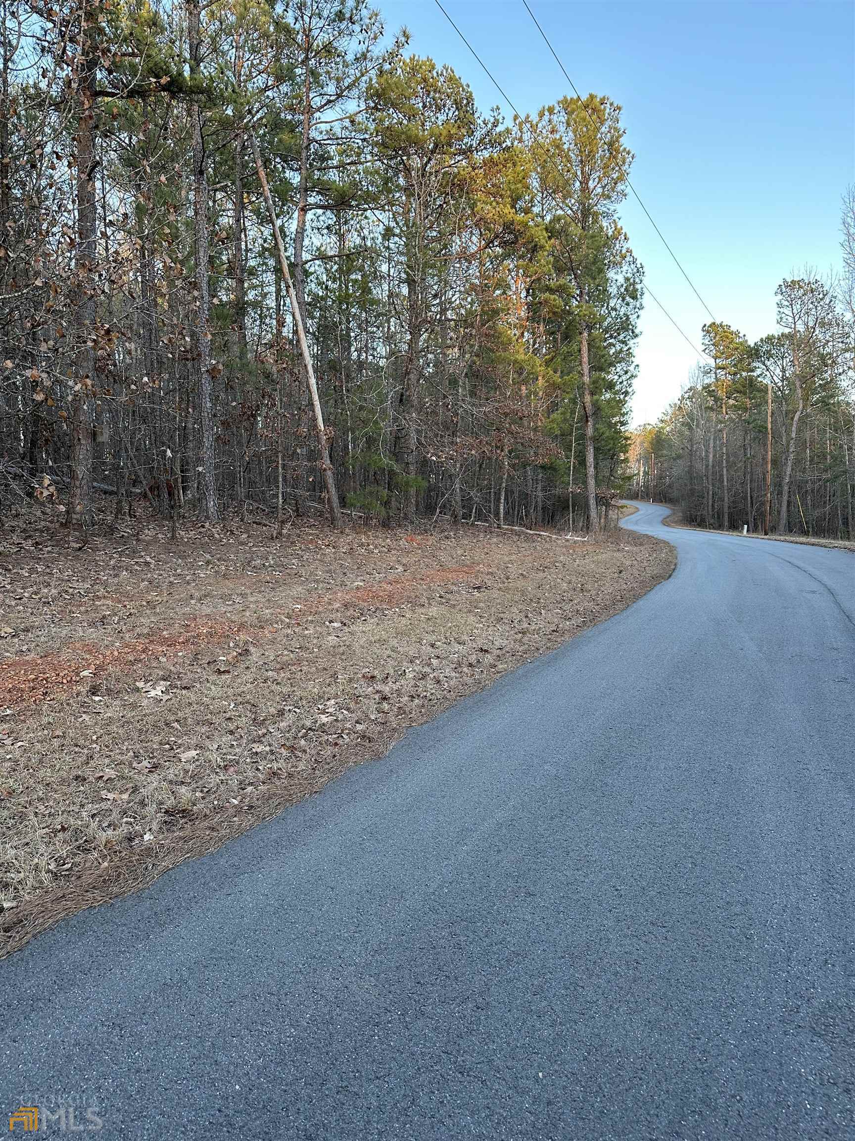 Lot 19 Mountain Ridge Drive Waverly Hall, GA 31831 - Photo 22 of 26 a view of a field with trees in the background