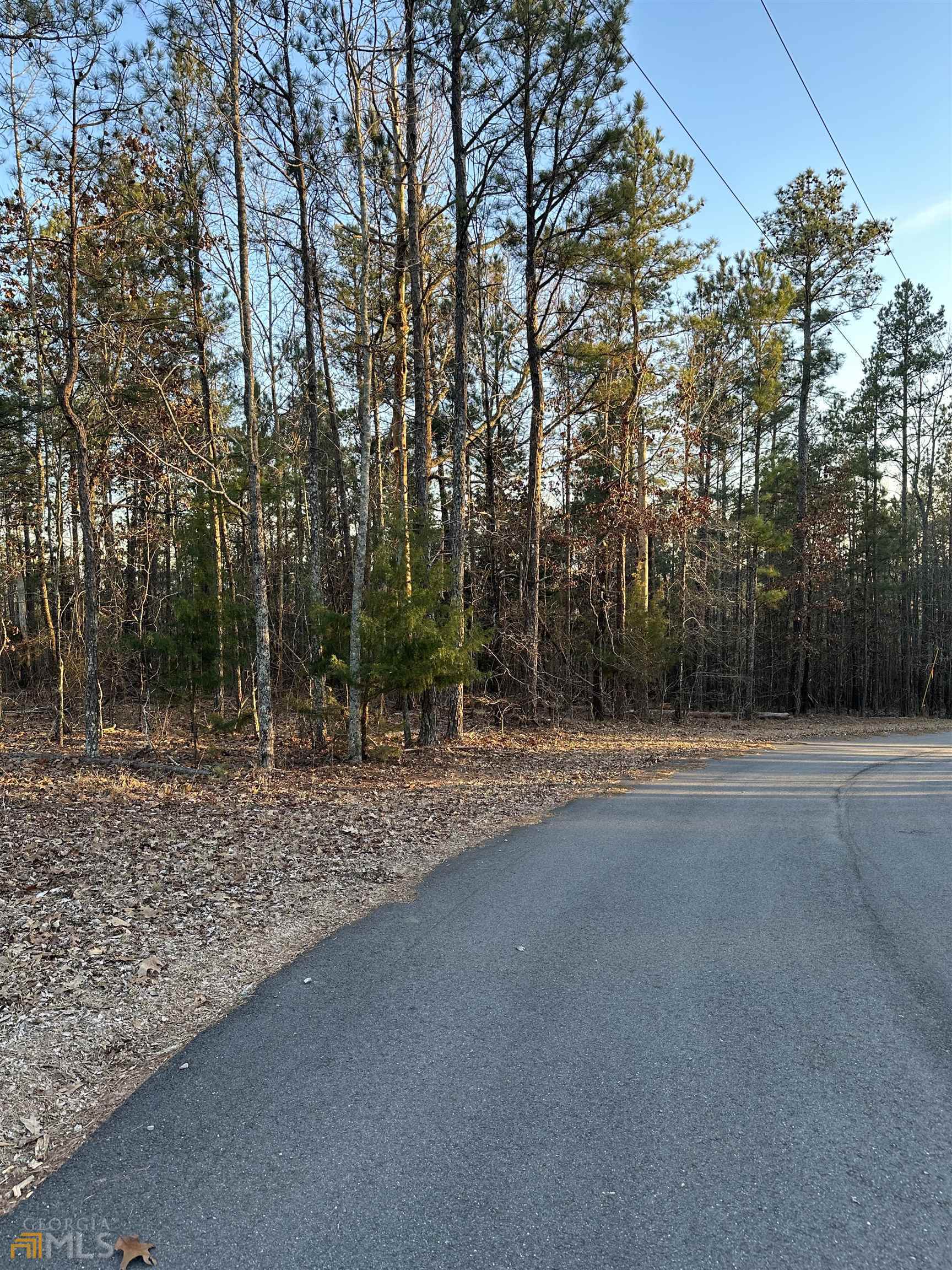 Lot 19 Mountain Ridge Drive Waverly Hall, GA 31831 - Photo 24 of 26 a view of a field with trees in the background