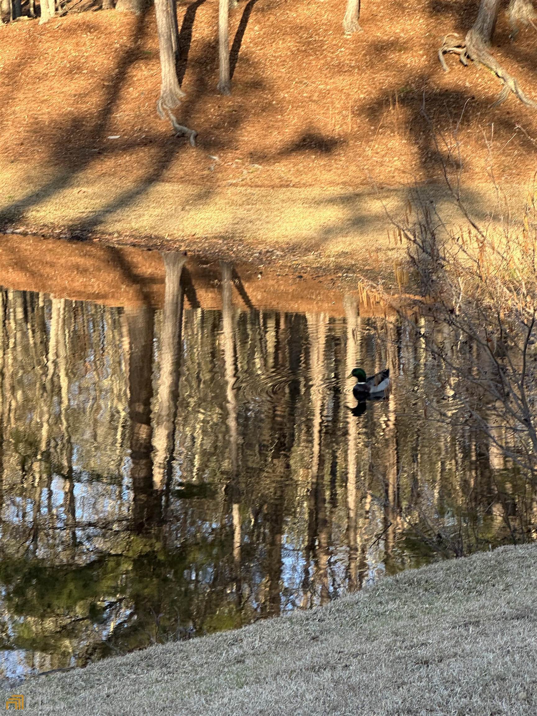 Lot 19 Mountain Ridge Drive Waverly Hall, GA 31831 - Photo 10 of 26 a view of a blue house with large trees