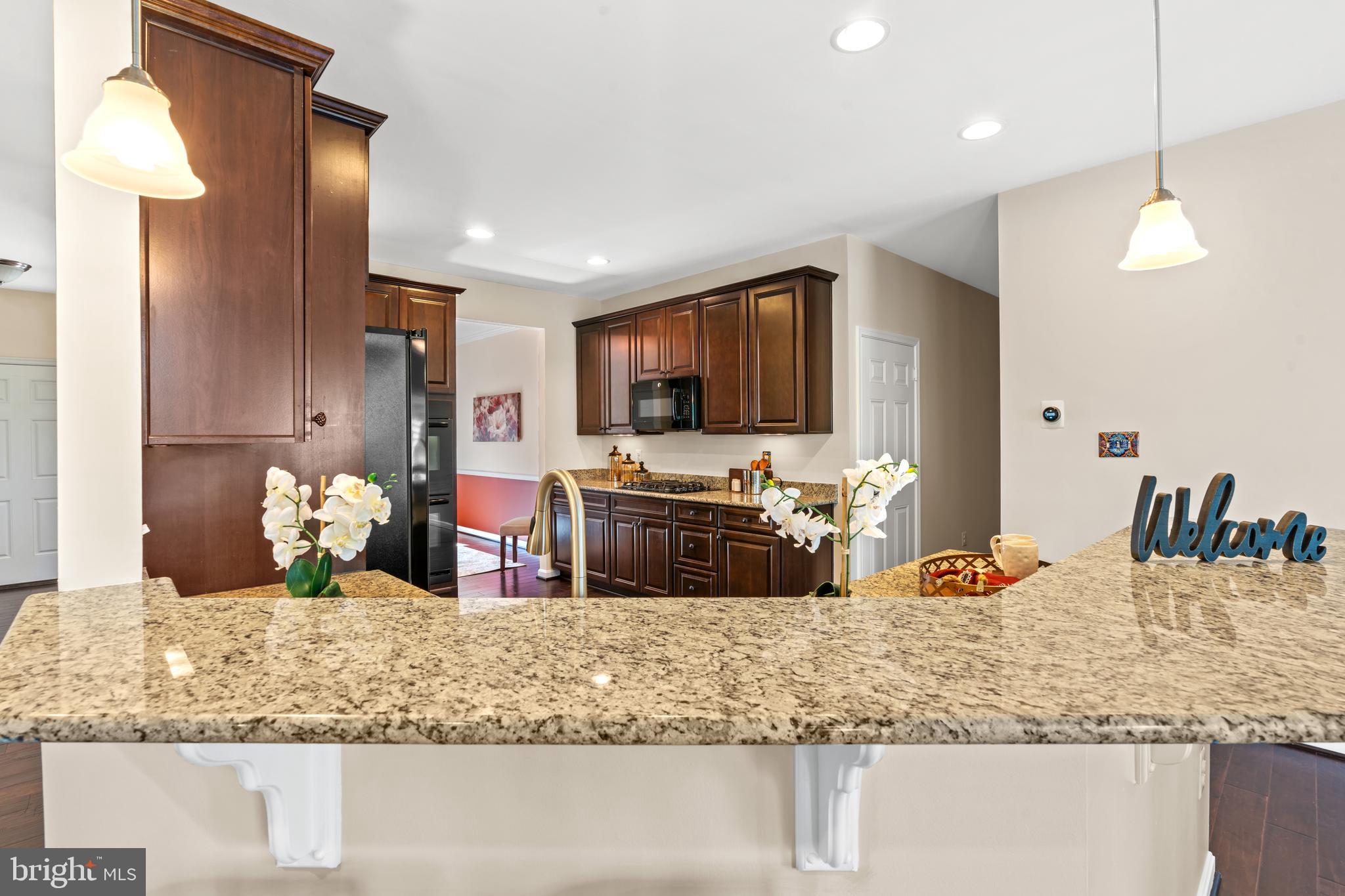 954 River Birch Circle Middletown, DE 19709 - Photo 17 of 58