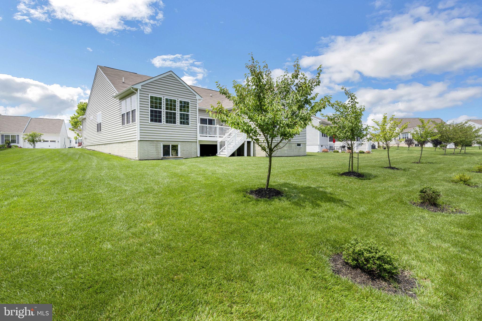 954 River Birch Circle Middletown, DE 19709 - Photo 46 of 58 Backyard