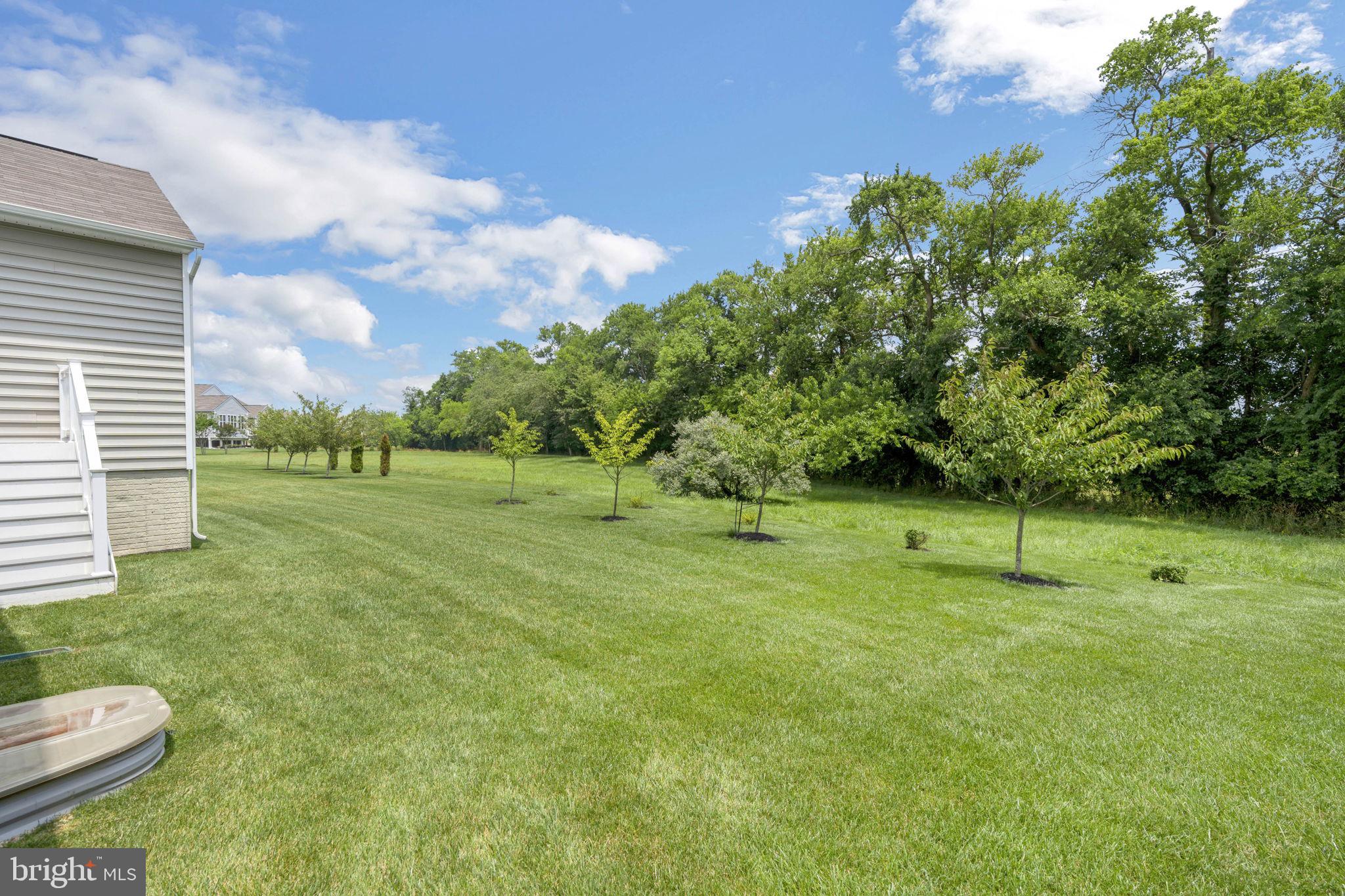 954 River Birch Circle Middletown, DE 19709 - Photo 47 of 58 Backyard