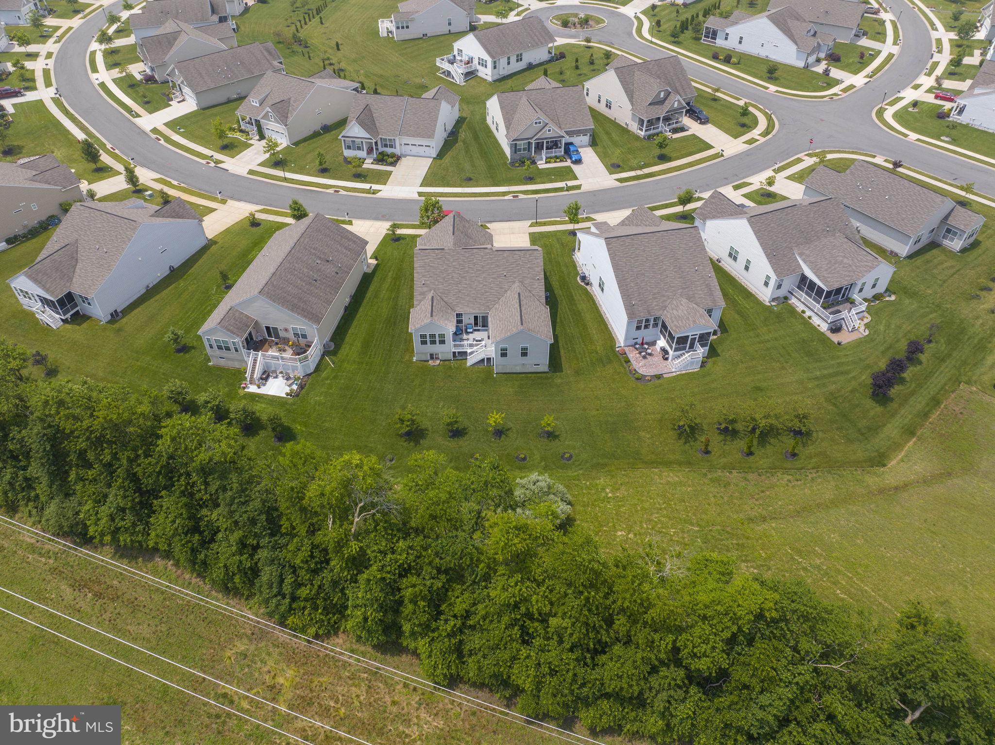 954 River Birch Circle Middletown, DE 19709 - Photo 52 of 58 Neighborhood